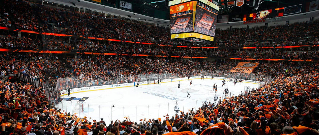 EPISODE 11: ANAHEIM DUCKS