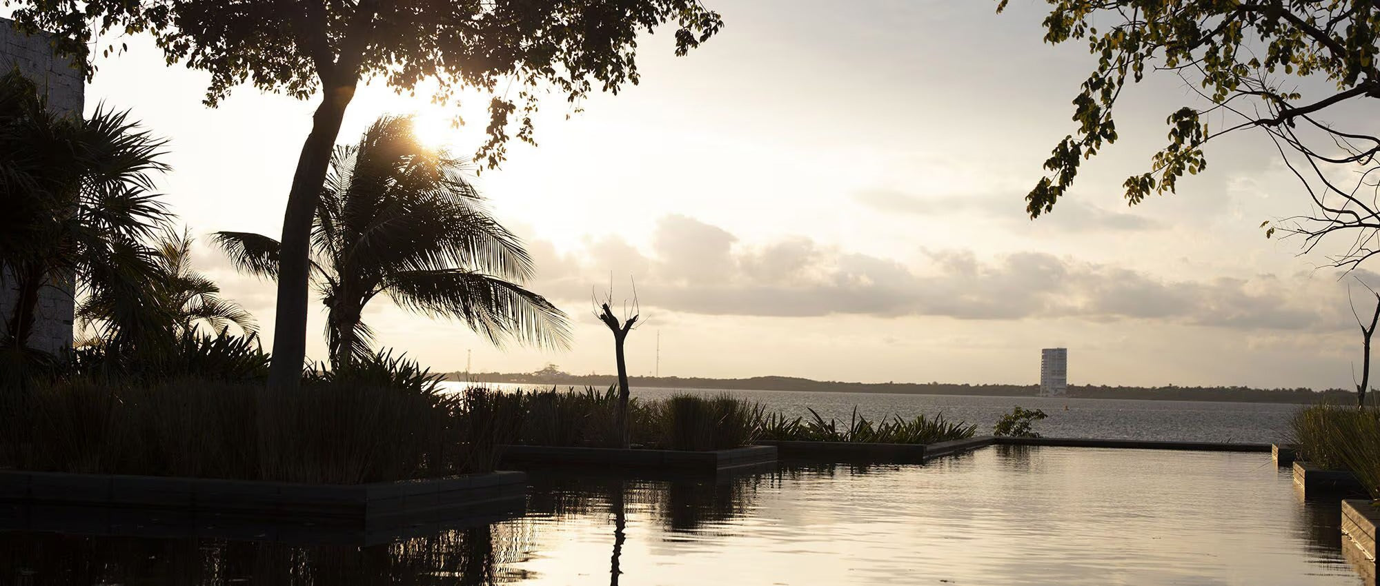 Tulum Or Not To Tulum