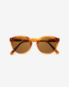Light Tort/Bronze Polar