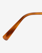 Light Tort/Bronze Polar