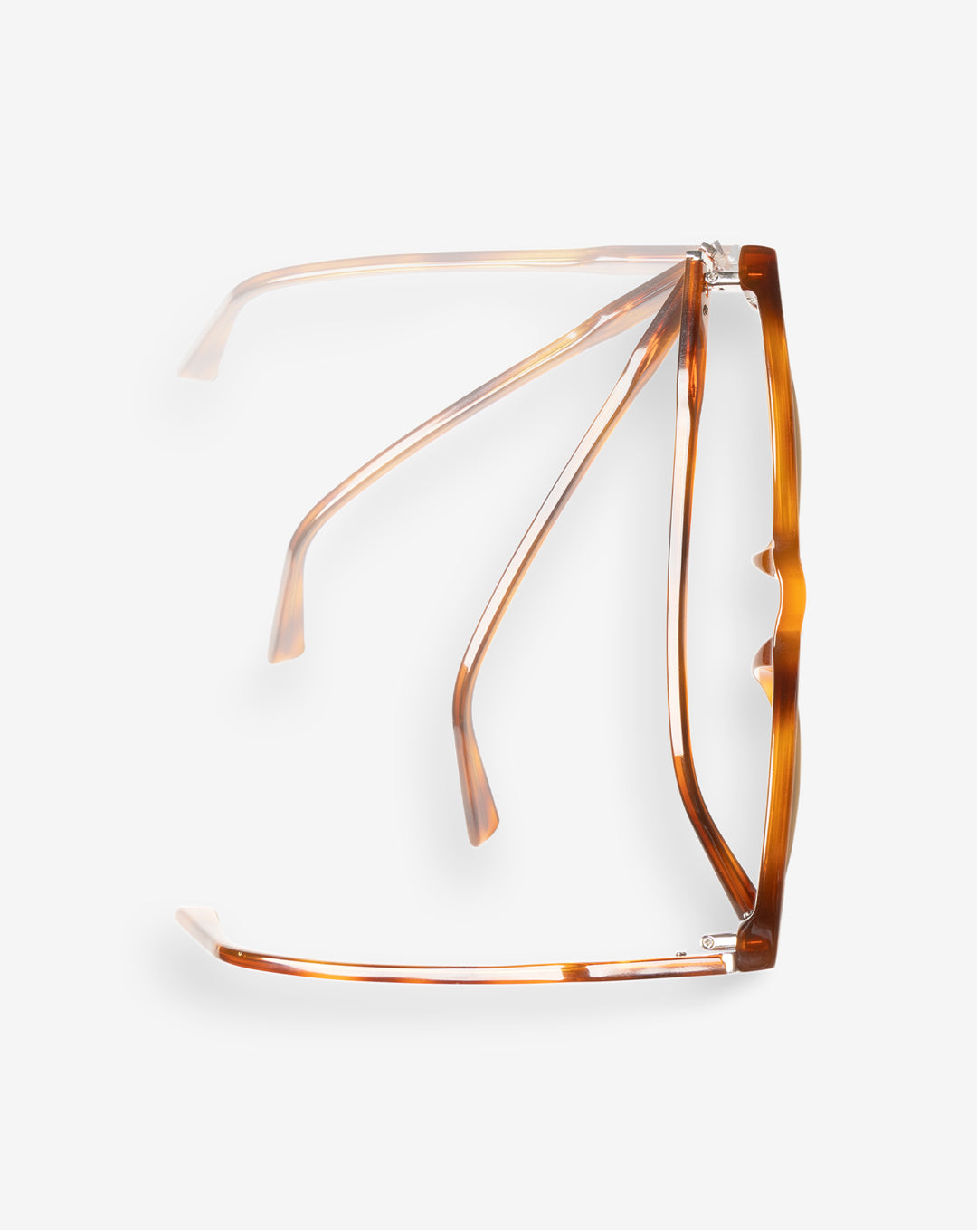 Light Tort/Bronze Polar