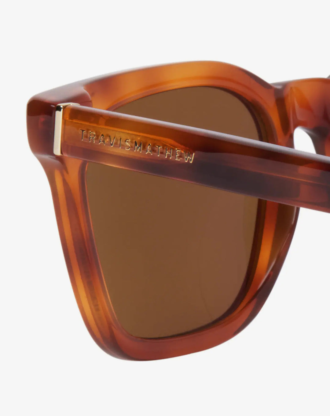 Light Tort/Bronze Polar